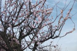 画像 091.jpg